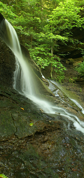 Hell's Hollow
