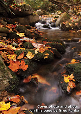 Cover photo and photo
on this page by Greg Funka