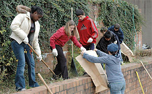 South Hills Middle School students help
with the removal of old foliage.
