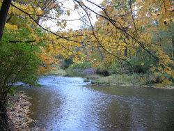 The lower Mahoning watershed covers
approximately 274 miles. WPC has been
actively involved in its conservation and
restoration since 2006.