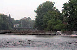WPC’s assessments will help determine how
mussel populations in Conewango Creek are
affected by the environmental stress brought
on by a man-made dam.