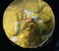 WPC conservation staff members often use
glass-bottom buckets for surveys.