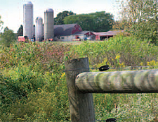 The Watershed Conservation Program works
with farms like this to protect their watersheds.