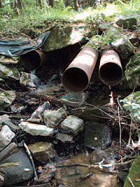 Aging, undersized culverts like these were
preventing aquatic species from traversing
the watershed.