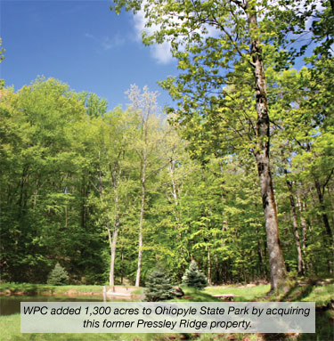 The Former Pressley Ridge Property