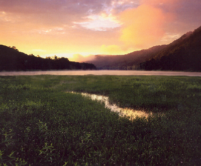 a scenic view