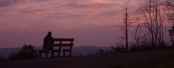Photo by Mary Shaw