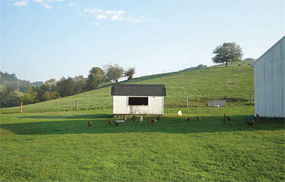 The Snyder farm in the Ligonier
Valley was protected in 2008
with an agricultural easement
facilitated by WPC.
Courtesy of WCALP.