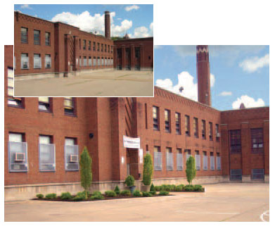 After: Hornbeam trees at the school’s entrance now welcome students
and teachers.