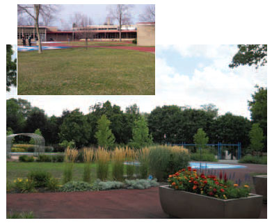 After: A southwest view shows the feather reed and switch grass along
the walkway, and blue salvia and red celosia in the planters.