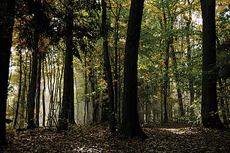 Conserve - Spring 2013