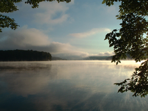 WPC helps conserve places such as Prince Gallitzin State Park. Photo courtesy of Dan Pompa.