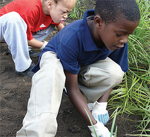 Students from Weil Elementary School help with a school
grounds planting.