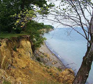 David M. Roderick
Wildlife Reserve.