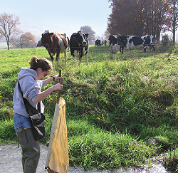 Jennifer Farabaugh, WPC’s Juniata and Potomac watershed
manager, conducts research in front of streambank fencing, which
not only improves the water quality of the stream but also helps
keep the livestock healthy.
