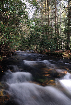 The work of the Western Pennsylvania Conservancy has helped to improve the quality of watersheds located in Cherry Run.