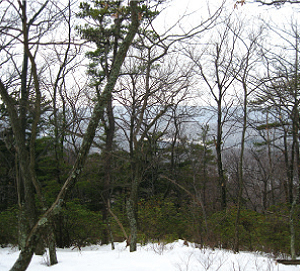 The Hardwood Trails property stretches over 1,600 acres on Evitts Mountain in Bedford County, Pa.